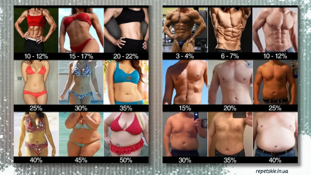 Процент жиру та здоров’я: чому “сухе тіло” не означає здорове